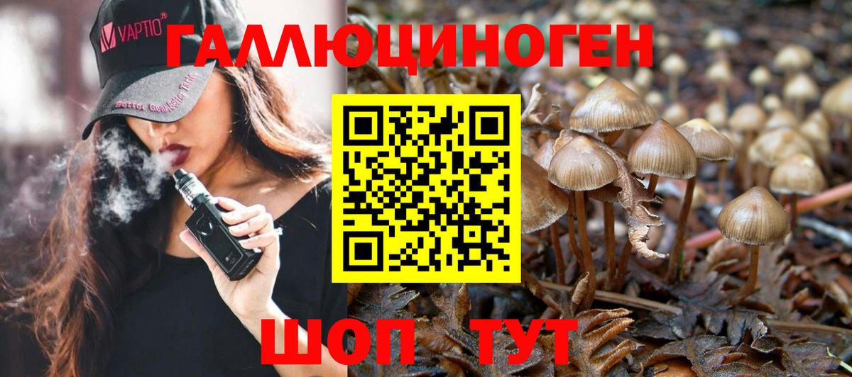 Галлюциногенные грибы Psilocybe Кызыл